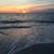 Vicky Schaefer's profile image