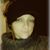 Christina Chioccola's profile image