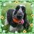Ellen Meyer's profile image