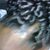Ronette Benjamin's profile image