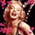 Dina Barbera's profile image