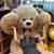 Renee Ang's profile image