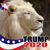 Gregory Sitarski's profile image