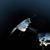 Julie Hildebrand's profile image