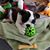 Donna Street's profile image