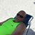 Larry Campbell's profile image