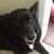 Ann Marie Folsom's profile image