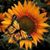 Kristani Pate's profile image