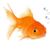 Grant W Scheele's profile image