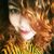 Ayari Gm's profile image