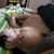 Jose Jimenez's profile image