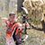 Jimmy McCain's profile image