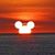Lorraine Black's profile image