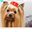 Brenda Lennon's profile image