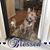 Teri Camery's profile image