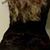 Amber A'lexus Cole's profile image