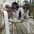 Cheryl Wooten's profile image
