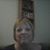 Shelly Purcell's profile image