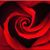Bruno Barrs's profile image