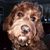 Teresa Fuller's profile image