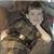 Mary Borowski-Burns's profile image