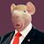 Jeff Toohey's profile image