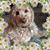 Sherri Model's profile image