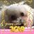 Caraline Grace Ruesink's profile image
