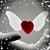 Terry Liguori's profile image