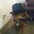 Brenda Lee Newton's profile image