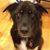Susan Marie Olson Baker's profile image