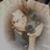 Holly Hawes's profile image