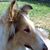 Lisa Miller's profile image
