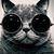Carey Thomson's profile image