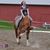 Brielle Temarantz's profile image