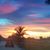 Marsha Ann's profile image