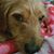 Mary Ann Glosson Bahler's profile image