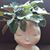 Barbara Tamblingson's profile image