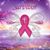 Kimberly Messick's profile image