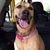 Jeanne Austin's profile image