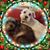 Connie Ferrel's profile image