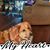 Sherri Yeager's profile image
