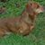 Jim Bostick's profile image