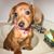 Michelle Merlo's profile image