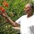 Anamaria Kelly's profile image