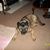 Marilyn Hobson's profile image