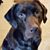 Kathy Gieschen's profile image