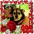Mary Collins's profile image