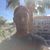 Cory Patrick's profile image