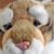 Carley Deanna Thompson's profile image